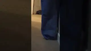 Where's Bella?