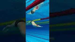 Обратный баттерляй😜 #sports #спорт #swimming #плавание #баттерфляй #свимглайд #swimglide