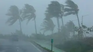 Hurricane Hunter