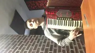 Аккордеон silvio soprani