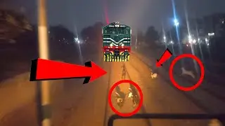 Live Loco pilot saved life of many goats who were about to hit with train by continuous whistling