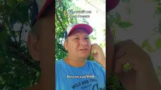 Каменный век для России #волхонскийлайв