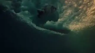 Za všechno může Zeit