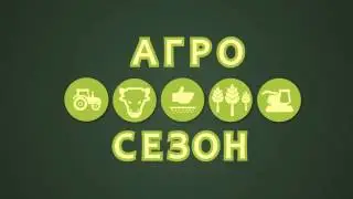 agro short