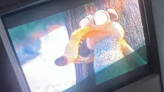 Mr beast loves CLT !!!!!