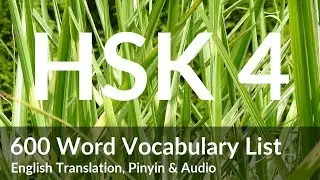 600 HSK 4 Vocabularies with Pinyin, English Translation & Audio