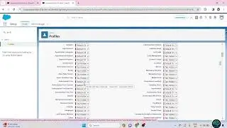 |How to create a profile in Salesforce| #salesforce #salesforcedevelopers