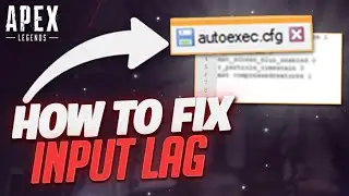 HOW TO FIX INPUT LAG (AUTOEXEC.CFG SETTINGS)