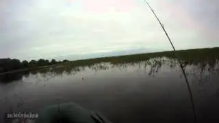 Змееголов на спиннинг