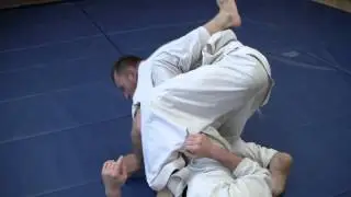 Sambo / Jujutsu Legbars