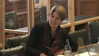 Treasury Select Committee Budget 1