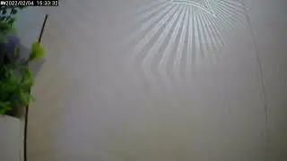 4 февраля 2022 г.