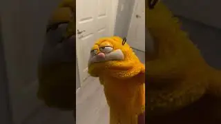 Long about midnight puppet edition #garfieldpuppet