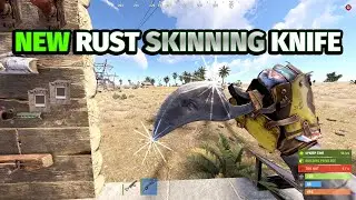 Rust New Skinning Knife