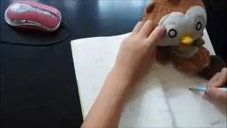Tukta taloks Writing books #6