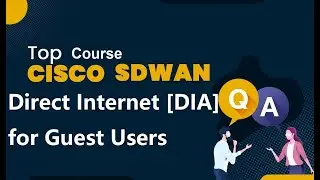 Cisco SD-WAN Direct Internet [DIA] for Guest Users
