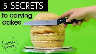 5 Secrets to CARVING CAKES into SHAPES for Beginners | Shaped Cakes | Cake Sculpting (Pro Tips!)