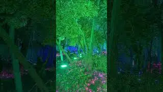 Naturaleza Encendida: Origen. Barcelona 2023/24.