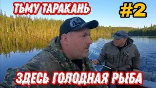 ПОКЛЁВКА на КАЖДОМ забросе. Поездка в ТЬМУ ТАРАКАНЬ. 2 серия.