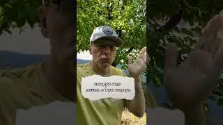 Подсознание может всё 