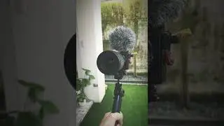 Lightweight vlogging setup. Sony ZV-E10.