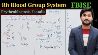 Rh blood group system | Erythroblastosis feotalis | FBISE