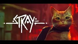 Stray PS5