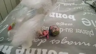 клизма для куклы LOL 