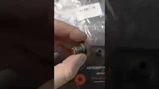Маслосъёмные колпачки EP6, Ajusa 12029300