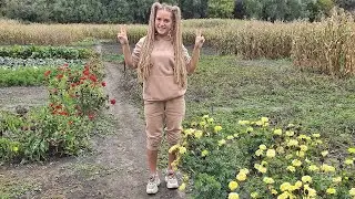 В СЕЛЕ У БАБУШКИ