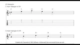 Trinity College London Plactrum Guitar Initial (Technical work).