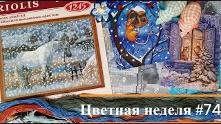 Цветная неделя 74 // 17.10.2024-23.10.2024. Риолис, РТО, Кларт, Жар-Птица, Зефирная ведьма, Айне