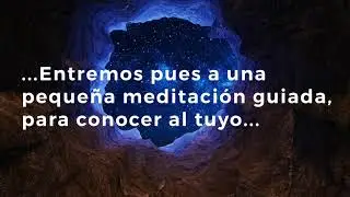 Contacta con tu Animal de Poder - Meditación Guiada -