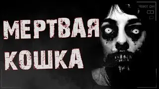 МЕРТВАЯ КОШКА - [СТРАШИЛКИ MINECRAFT] СТРАШНЫЕ ИСТОРИИ НА НОЧЬ