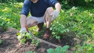 14 июня 2025 г.