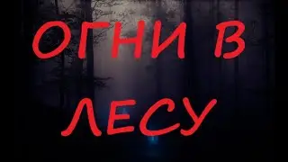 Огни в лесу