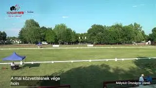 HUNGARY FOTO LIVE - Mélykút OB Döntő