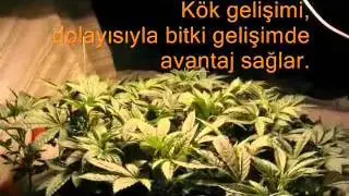 Damla Sulama/drip irrigation (peyzajda toprak alltı/ Subsurface drip irrigation)
