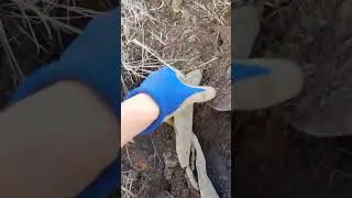 Нашли кусок меди 