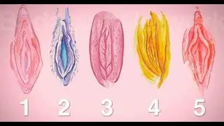 TIPOS DE VAGINA QUE NO SABIAS QUE EXISTÍAN/top10verdad