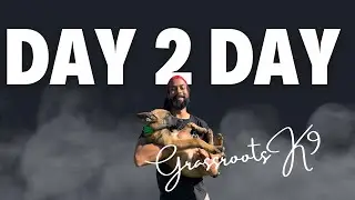 A Day in the Life