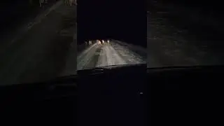 3 января 2022. Кабанчики