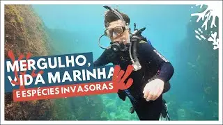 Alcatrazes, litoral norte paulista, parte II