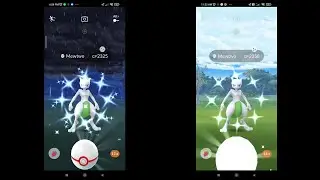 Double SHINY MEWTWO from Raid Boss