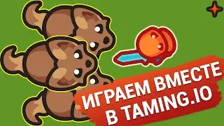 Taming.io - играем вместе в новую ИО игру