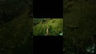 Isle Shorts: Ninja Time