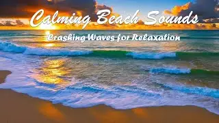1 Hour of Strong Crashing Waves for Relaxation, Concentration , and Deep Sleep | Ocean Sounds