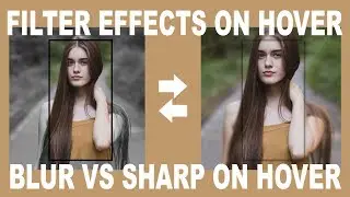 Blur vs Sharp - Filter css - Zoom and blur hover based animated box