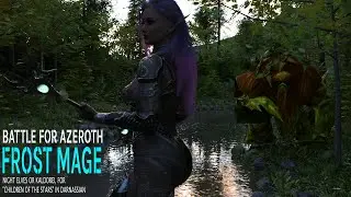 World Of Warcraft Guide: Leveling as Night Elf Frost Mage 1-25. Guide for newcomers. BFA.