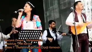 Meryem Zengin - Söyleyemedim